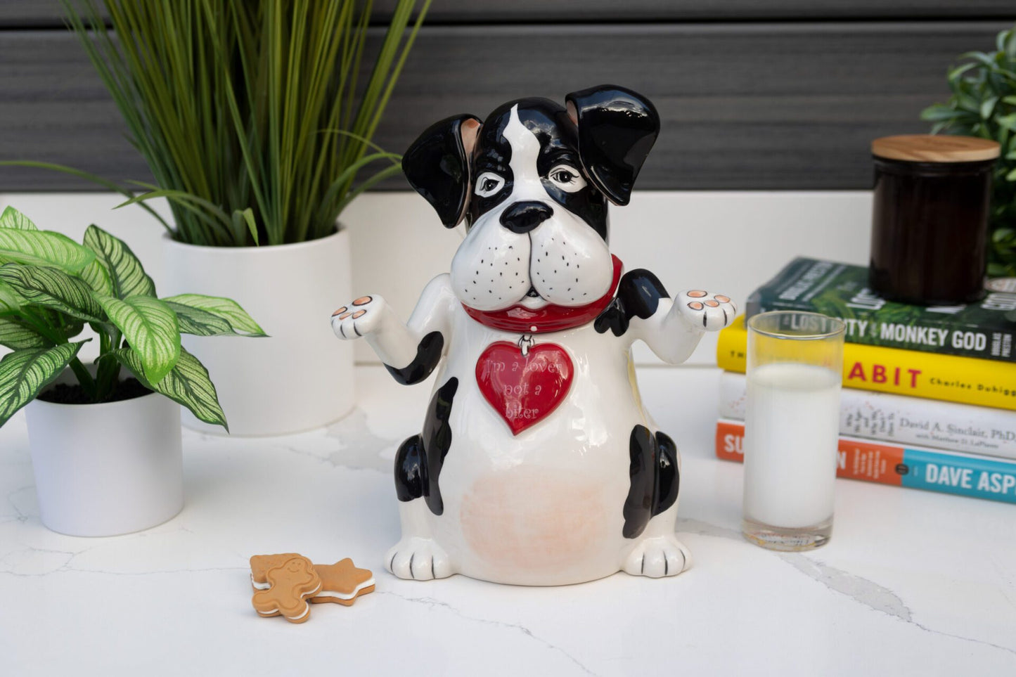 I AM LOVER NOT A BITER COOKIE JAR ~ Handmade
