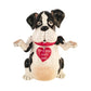 I AM LOVER NOT A BITER COOKIE JAR ~ Handmade