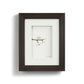 Love Birds Wall Decor